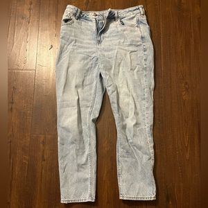 AE Strigid Mom Jean